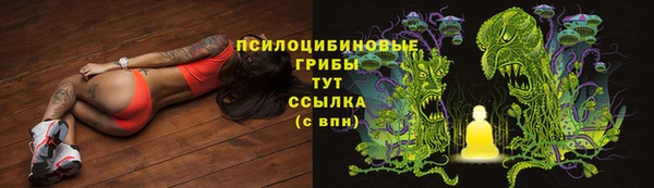 МДПВ Абинск