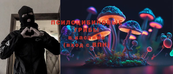 МДПВ Абинск