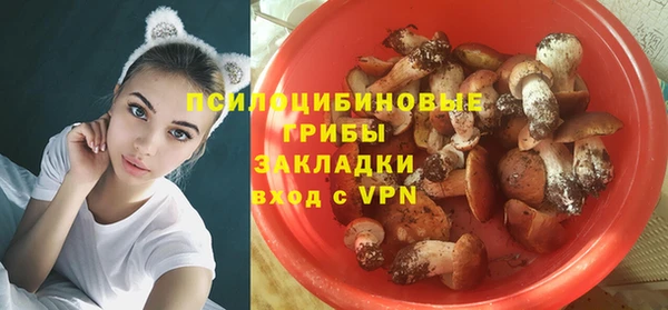крисы Абдулино