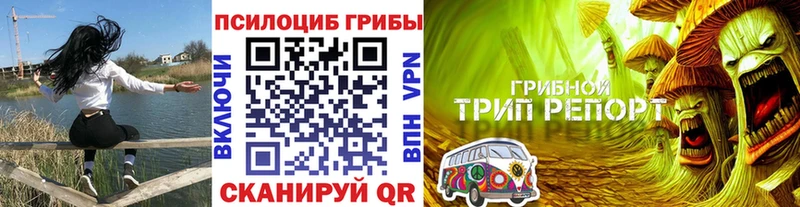 Псилоцибиновые грибы Magic Shrooms  Усть-Кут 