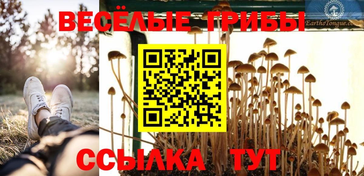 Усть-Кут  Псилоцибиновые грибы ЛСД  где можно купить   Вход с VPN  Галлюциногенные грибы ЛСД 